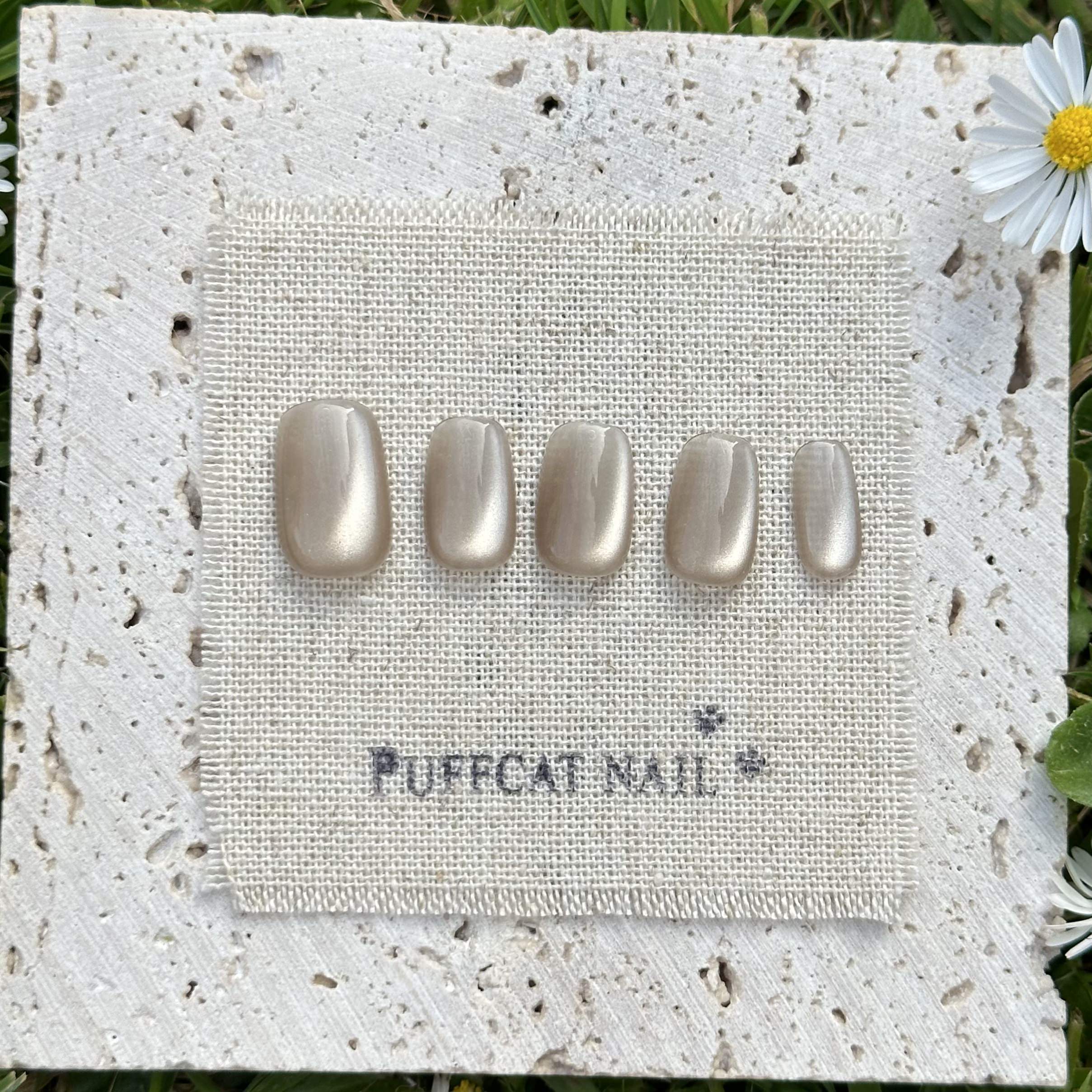 Image of Jasmine Cat-Eye