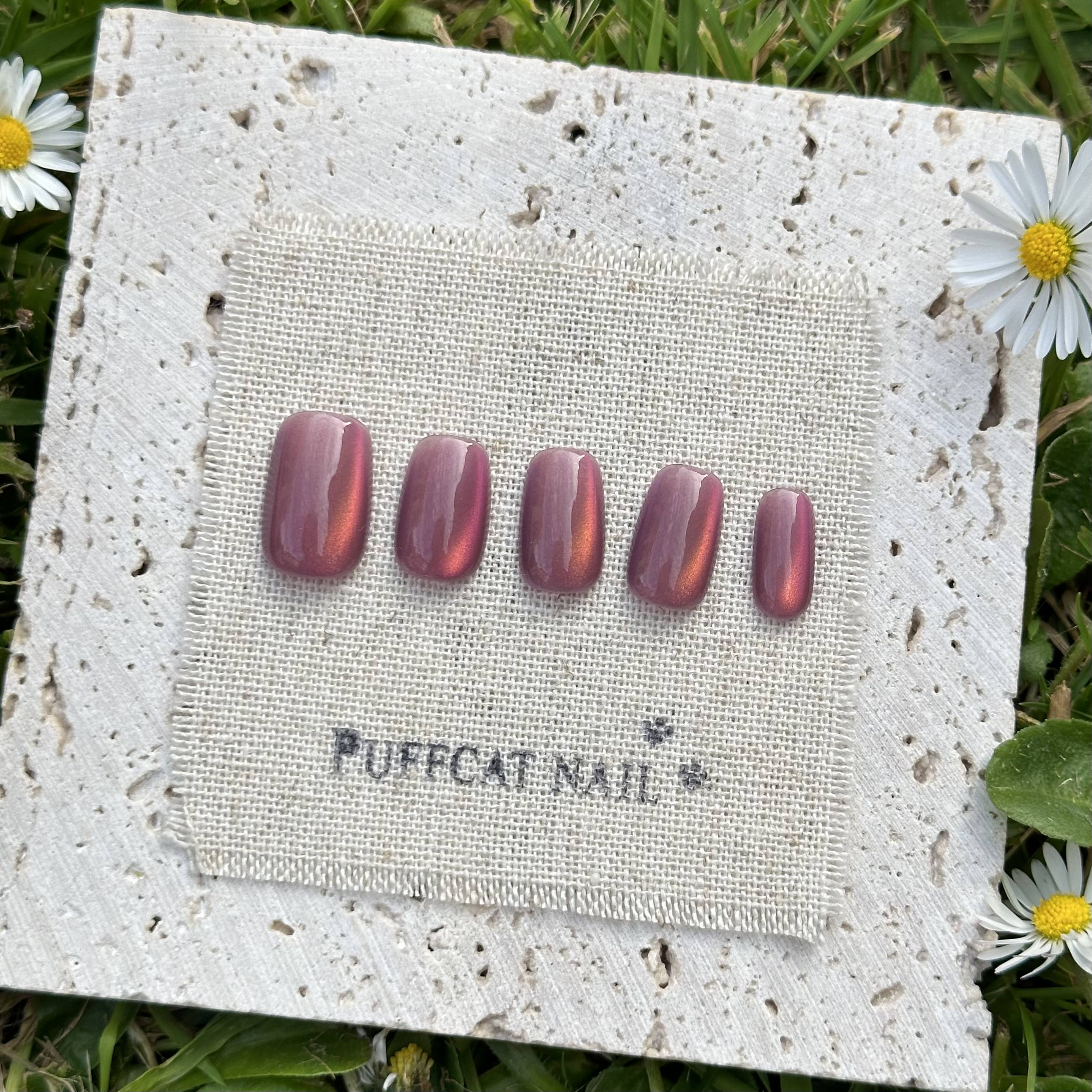 Image of Litchi Cat-Eye