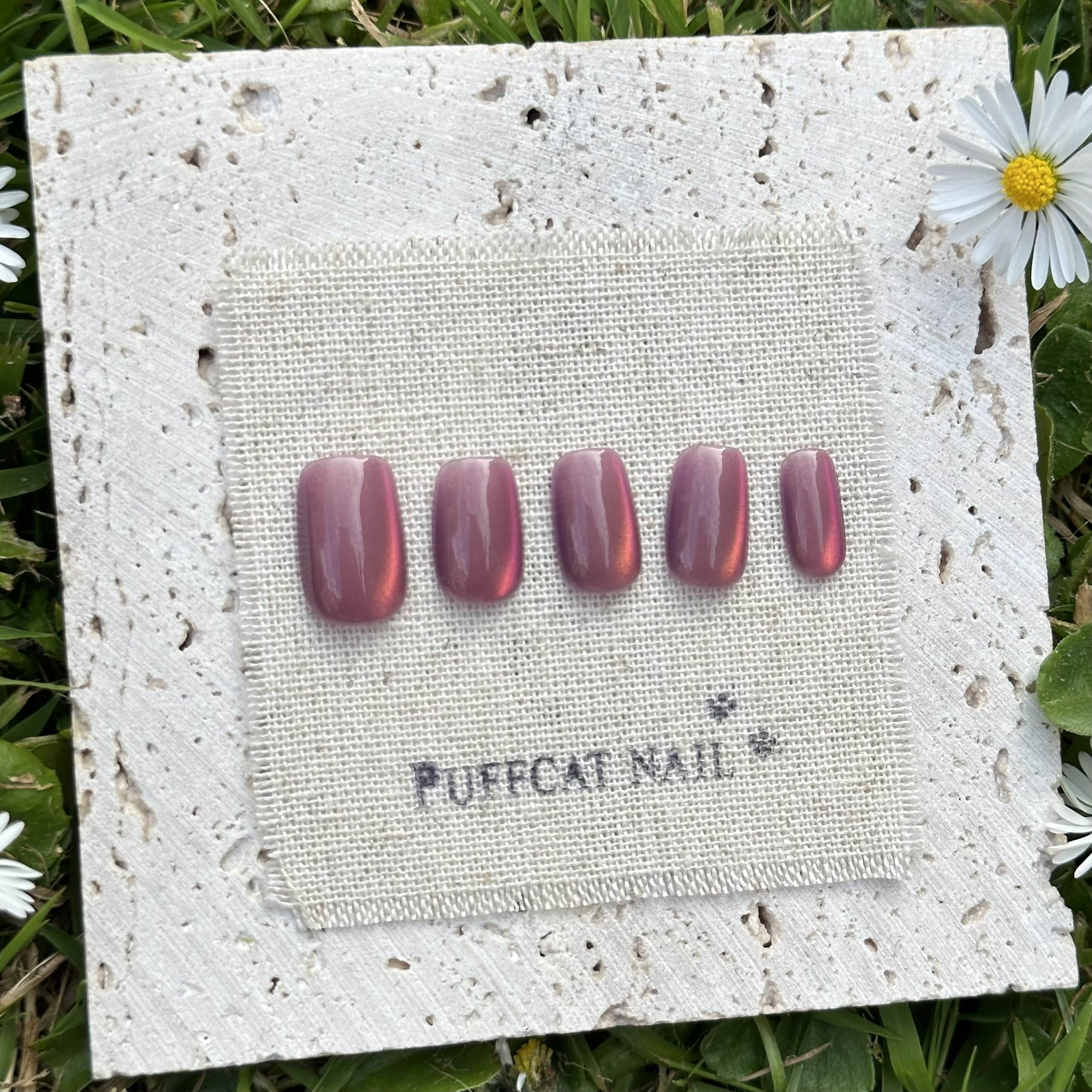 Image of Litchi Cat-Eye