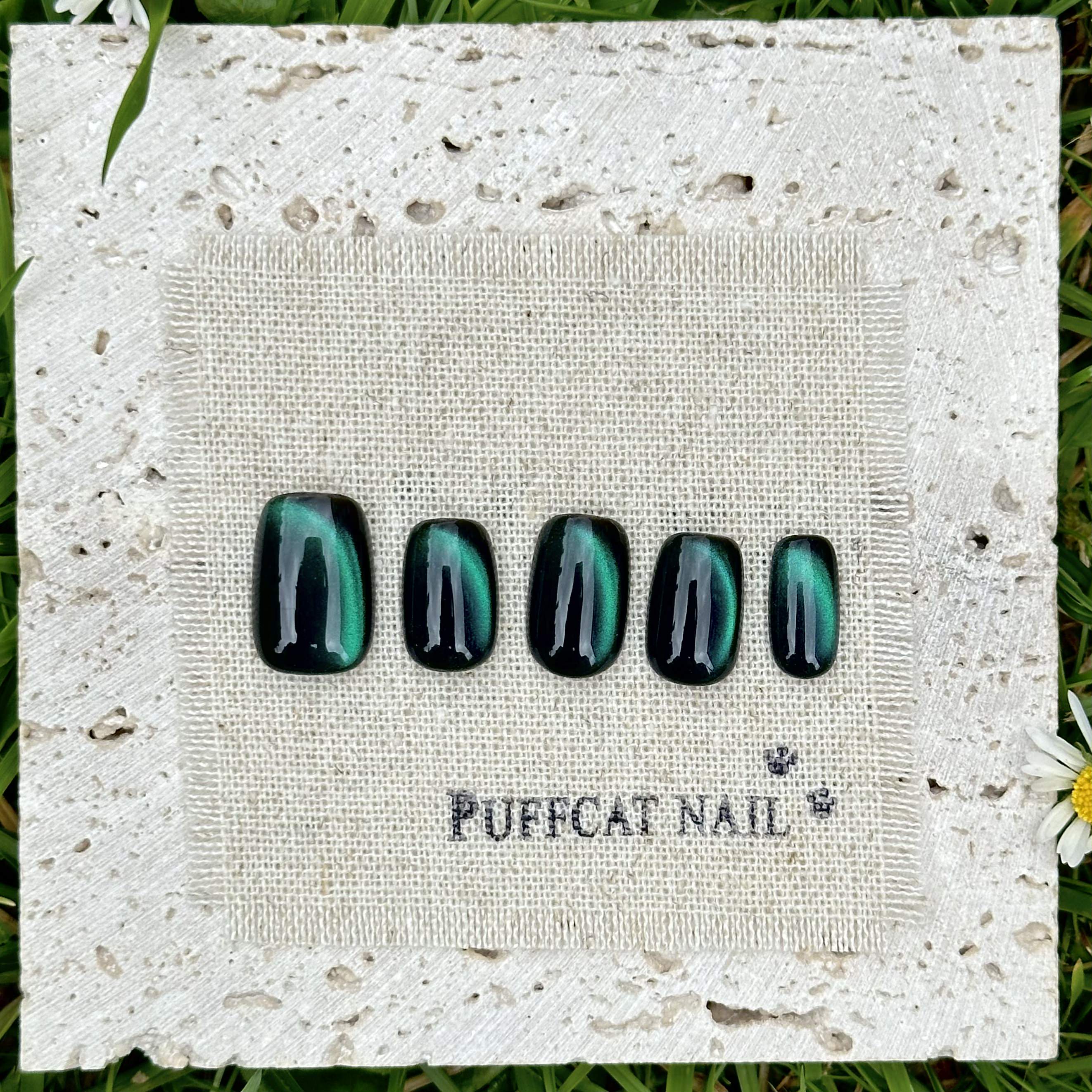 Image of Aurora (Black) Cat-Eye